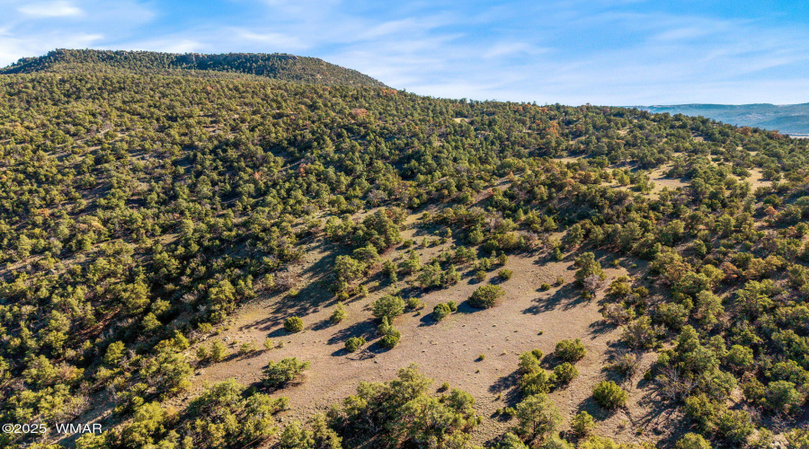 Parcel10423002GFEC-EagarAZ-6