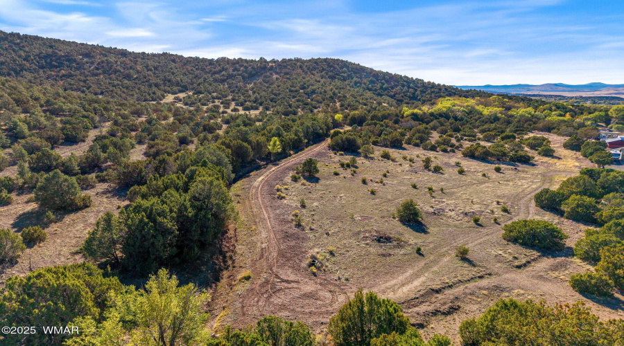 Parcel10423002GFEC-EagarAZ-8