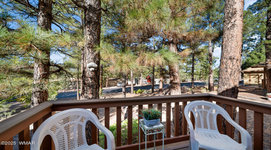 Front Deck View