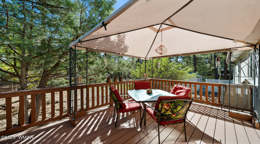 Back Deck and Yard