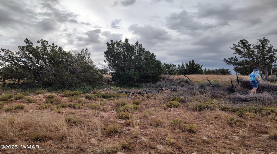 Land