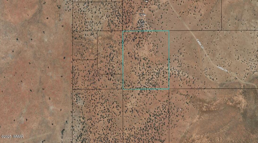 009 Aerial View