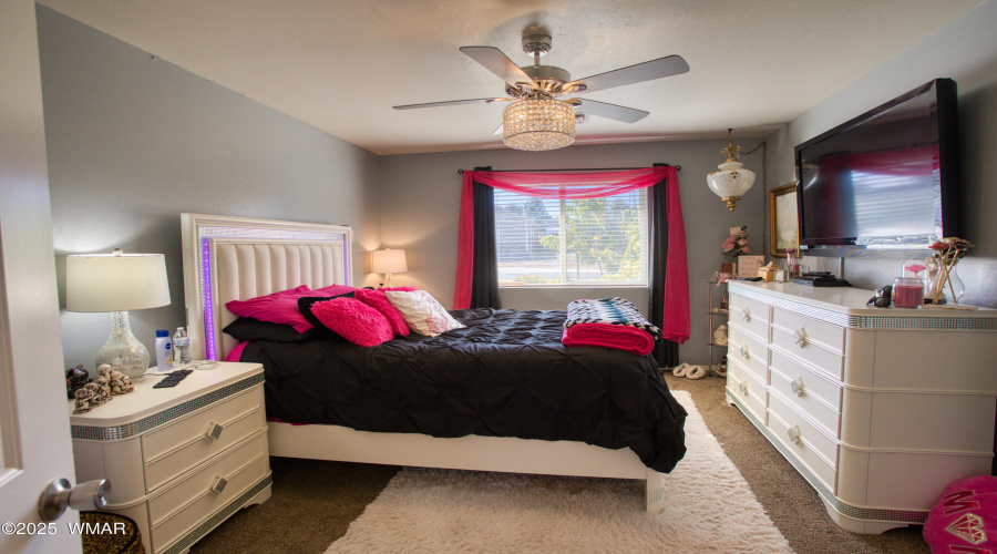 Paxmanphoto_PAX_8219