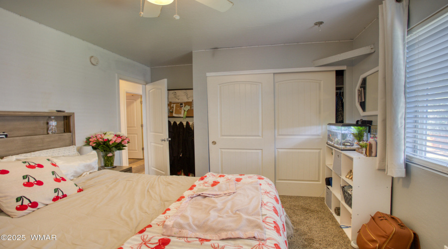 Paxmanphoto_PAX_8241