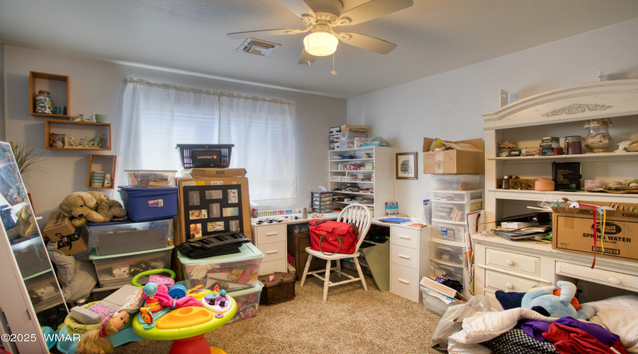 Paxmanphoto_PAX_8244 2
