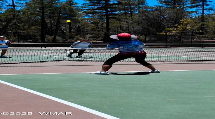 pickleball3.00_00_04_02.Still001