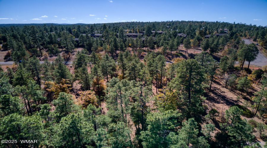 Photo #4- 6994 Leo Ln