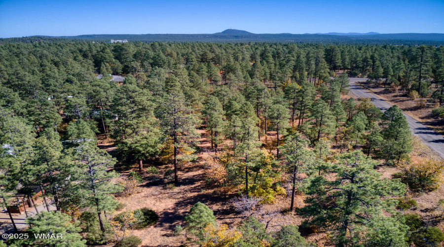 Photo #5- 6994 Leo Ln