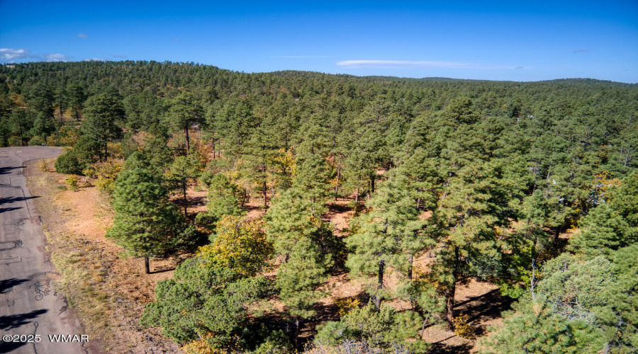 Photo #6-6994 Leo Ln