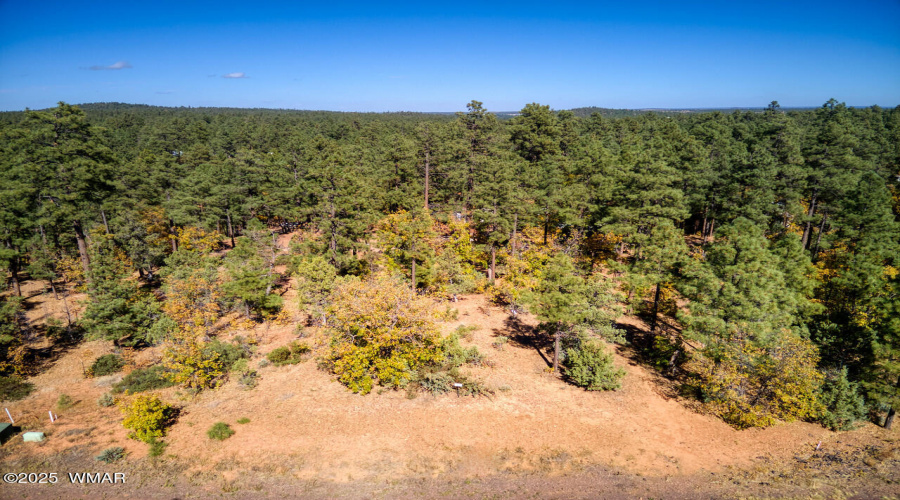 Photo #2- 6994 Leo Ln