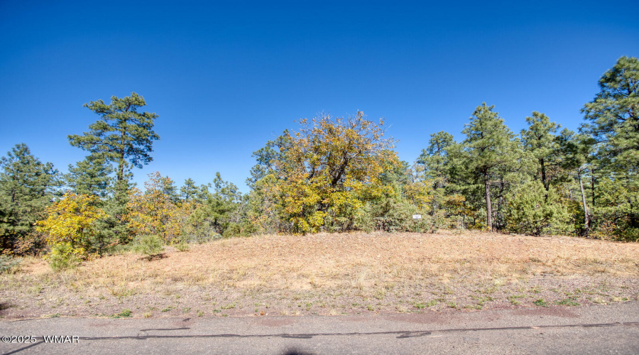 Photo #8-6994 Leo Ln