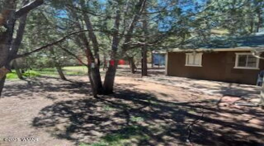 Back Yard and Garage