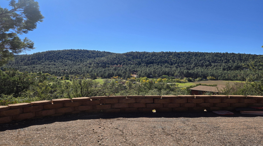 View to south from driveway