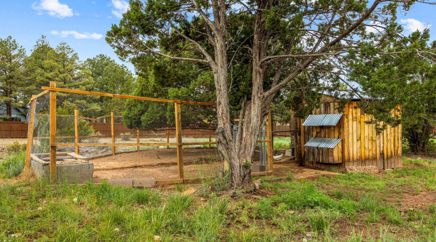 6954PearceDr-ShowLow-AZ-28