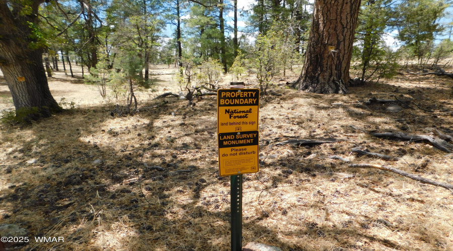NATIONAL FOREST SIGN