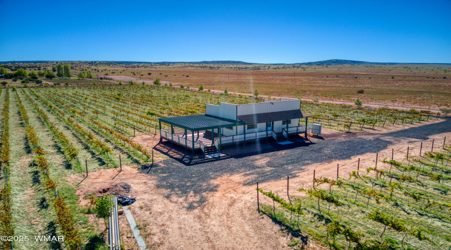 Drone Wine Tasting Vineyard
