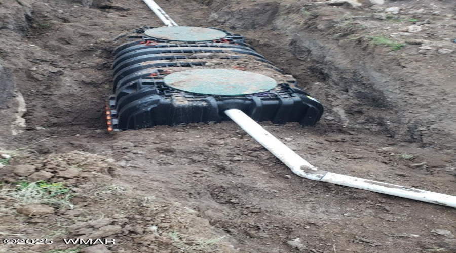 Resized_20210810_183901