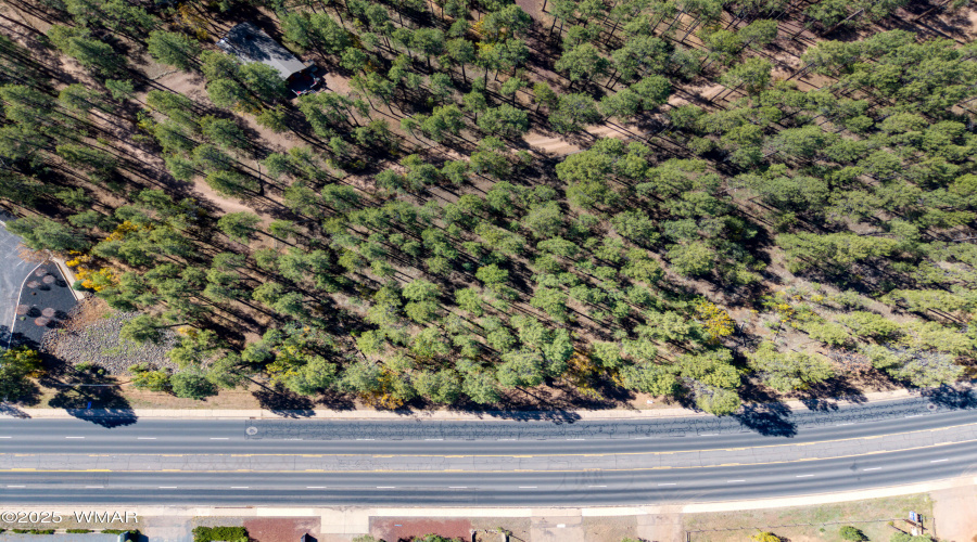 Paxmanphoto_DJI_20251026113837_0144_D