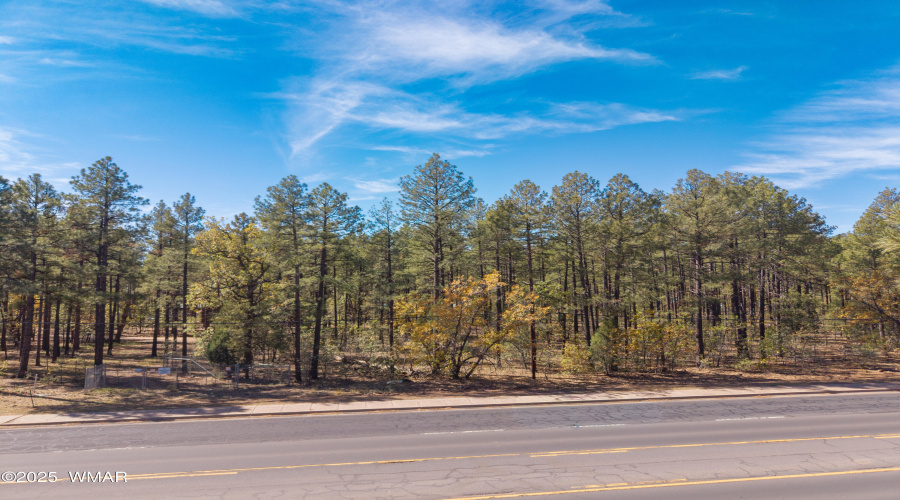 DJI_20251026113806_0128_D