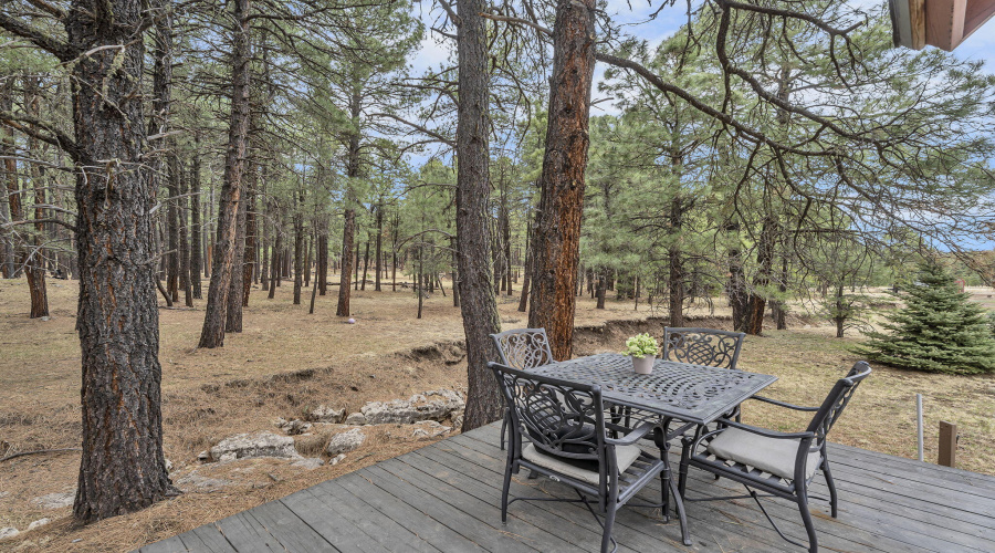 64-web-or-mls-Forest-48