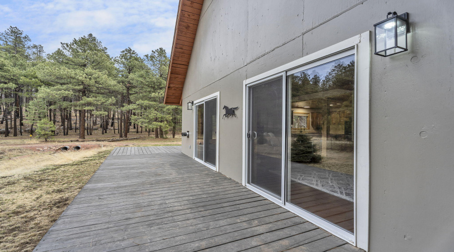 58-web-or-mls-Forest-42