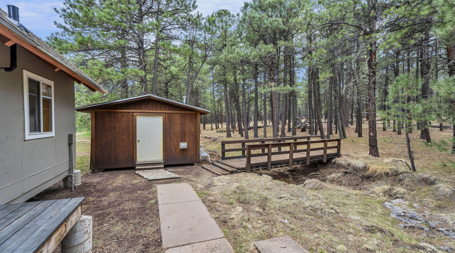 66-web-or-mls-Forest-50