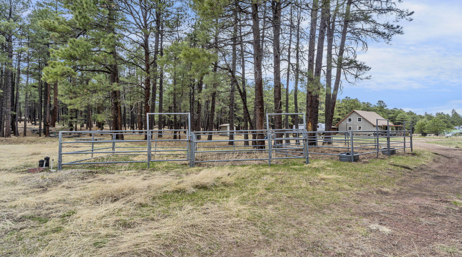 88-web-or-mls-Forest-72