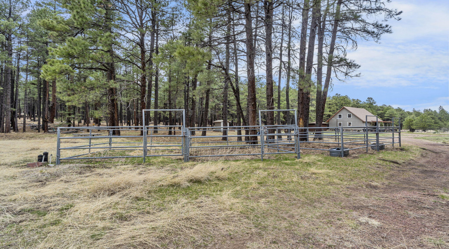 89-web-or-mls-Forest-73