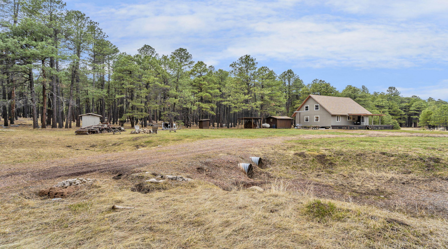 94-web-or-mls-Forest-78