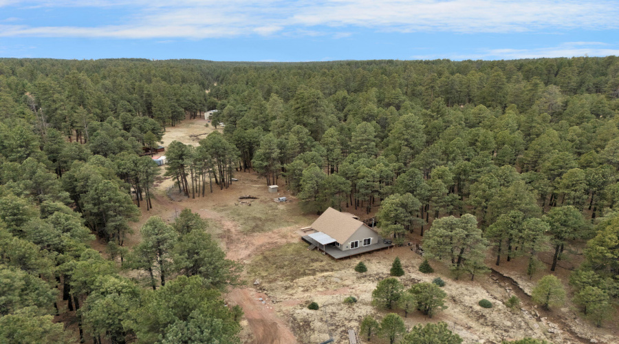 110-web-or-mls-Forest Drone-16