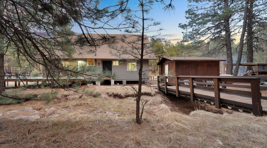 5-web-or-mls-Forest Twilight-05