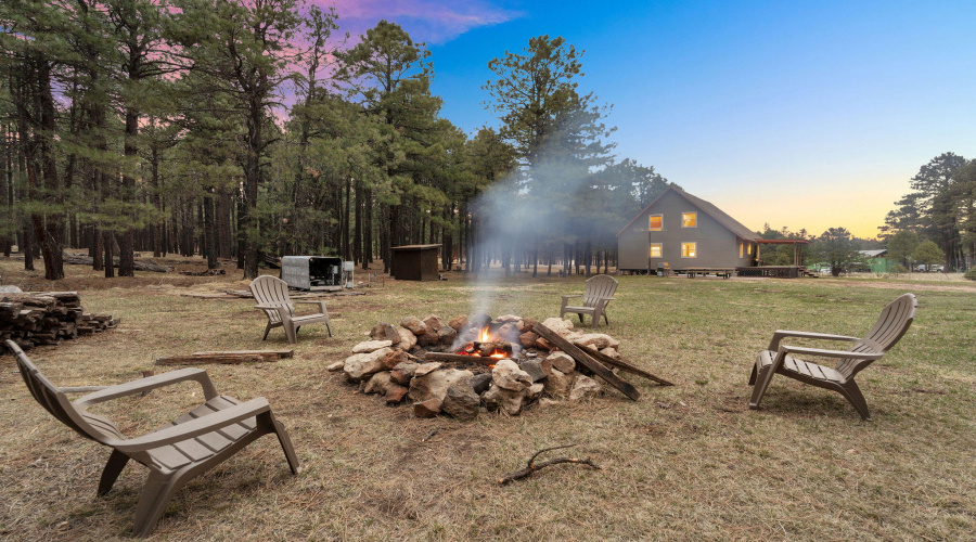 9-web-or-mls-Forest Twilight-09