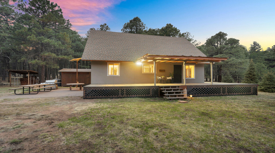 14-web-or-mls-Forest Twilight-14